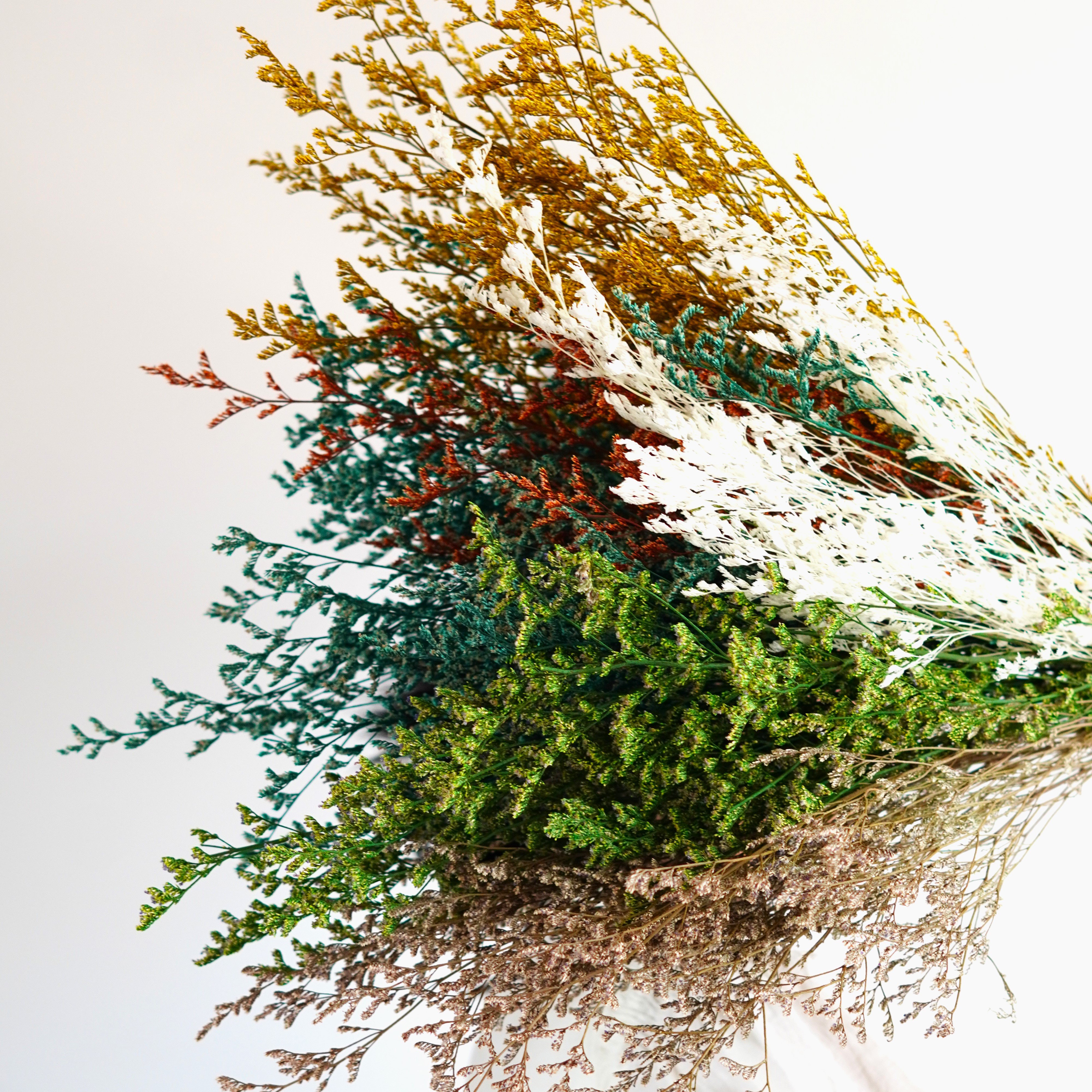 Dry Lover's grass Flower Dried Flowers Home decoration,Bouquet material,Preserved Lover Grass