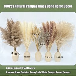 100pcs-3