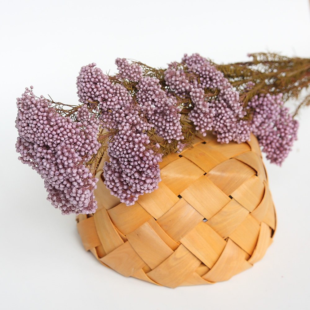 Chinese wholesale preserved rice flower dried rice flower for flower bouquet