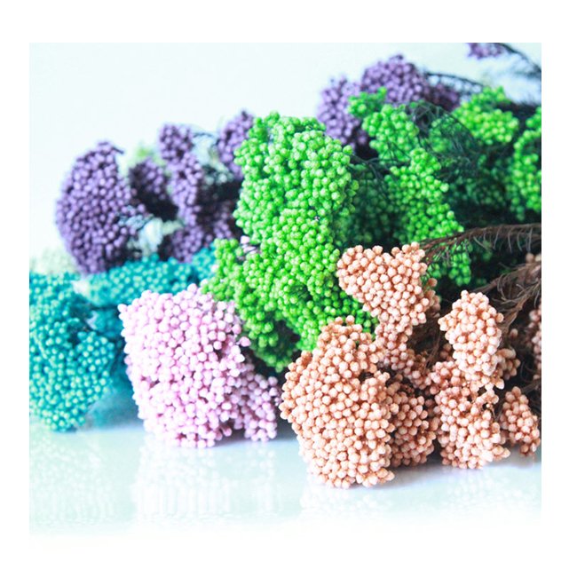 Chinese wholesale preserved rice flower dried rice flower for flower bouquet