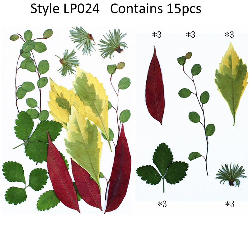 Natural Real Dried Pressed 15pcs Mixed Leaves Flowers Plant Flower Specimens Dried Pressed Mixed Leaf for Epoxy Flower