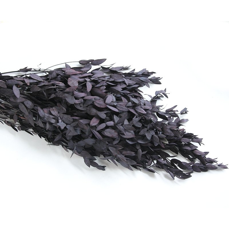AX-12 Wholesale high quality immortal foliage popular eternal flowers home wedding decoration preserved eucalyptus leaves
