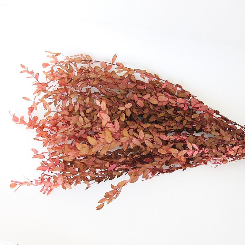AX-12 Wholesale high quality immortal foliage popular eternal flowers home wedding decoration preserved eucalyptus leaves