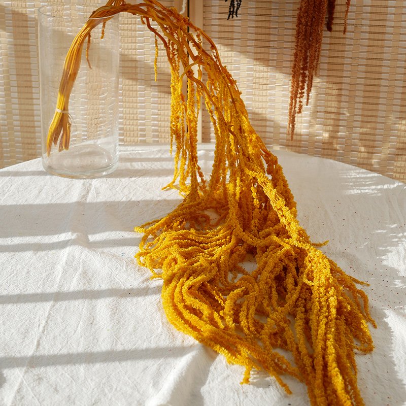 Preserved Amaranthus Wedding Decoration Dried Flowers Preserved Foliage Soft Real Touch Large Preserved Hanging Amaranthus