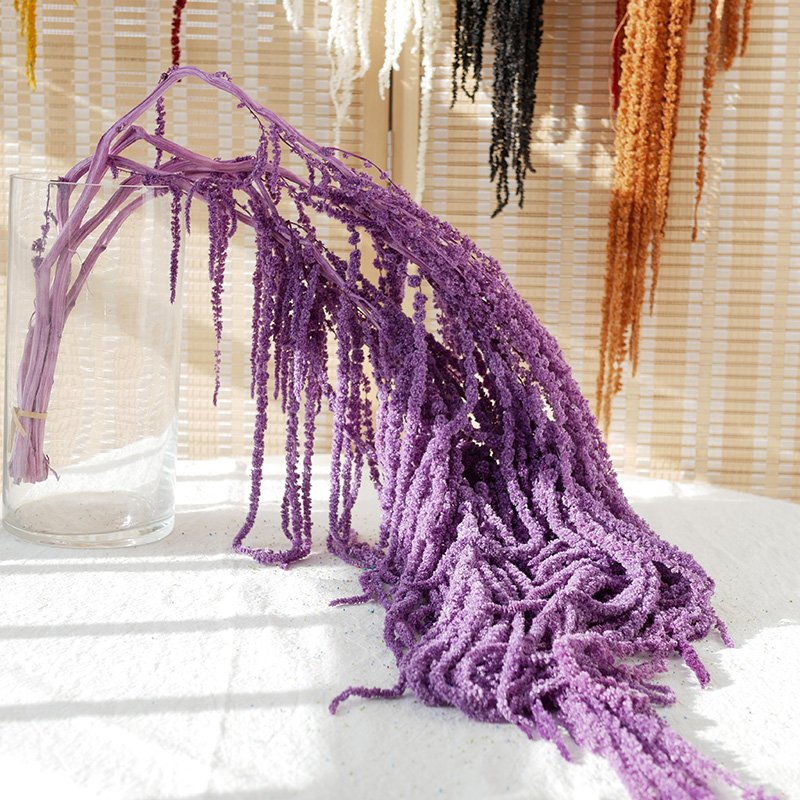 Preserved Amaranthus Wedding Decoration Dried Flowers Preserved Foliage Soft Real Touch Large Preserved Hanging Amaranthus
