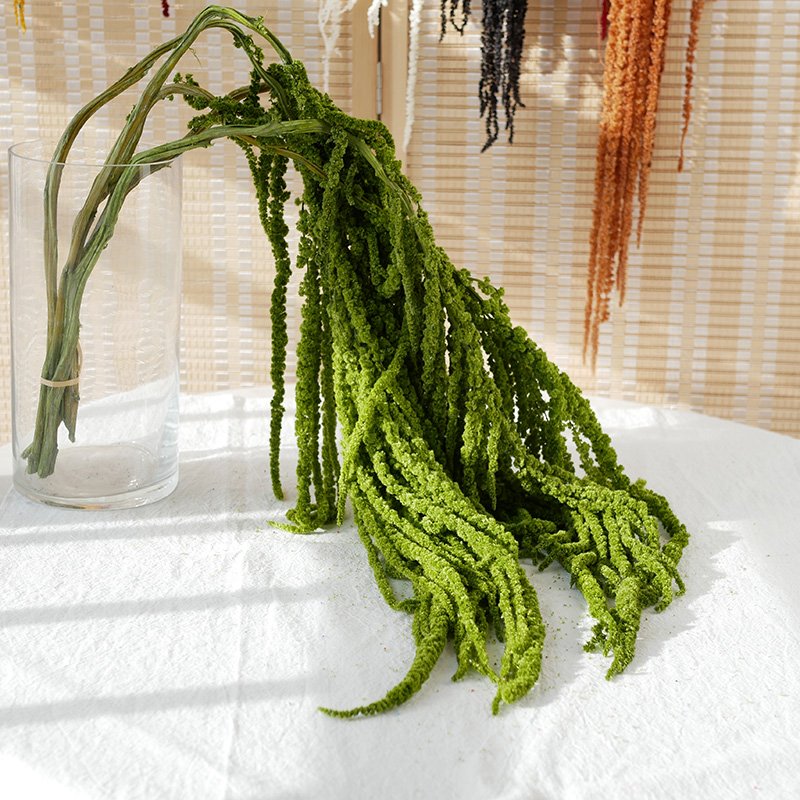 Preserved Amaranthus Wedding Decoration Dried Flowers Preserved Foliage Soft Real Touch Large Preserved Hanging Amaranthus