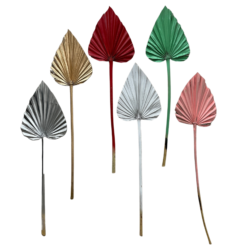 Ins Amazon Hot Selling Dried Palms Leaves Spear Palm Decorative Flowers Leaves Dried Palms In Various Shapes