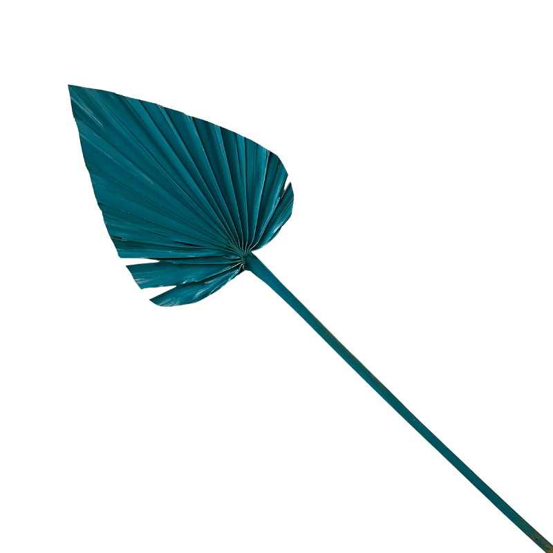Ins Amazon Hot Selling Dried Palms Leaves Spear Palm Decorative Flowers Leaves Dried Palms In Various Shapes