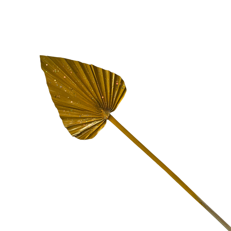 Ins Amazon Hot Selling Dried Palms Leaves Spear Palm Decorative Flowers Leaves Dried Palms In Various Shapes