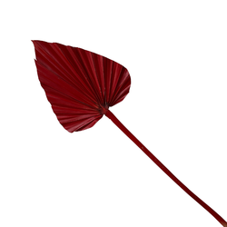 Paint-Red