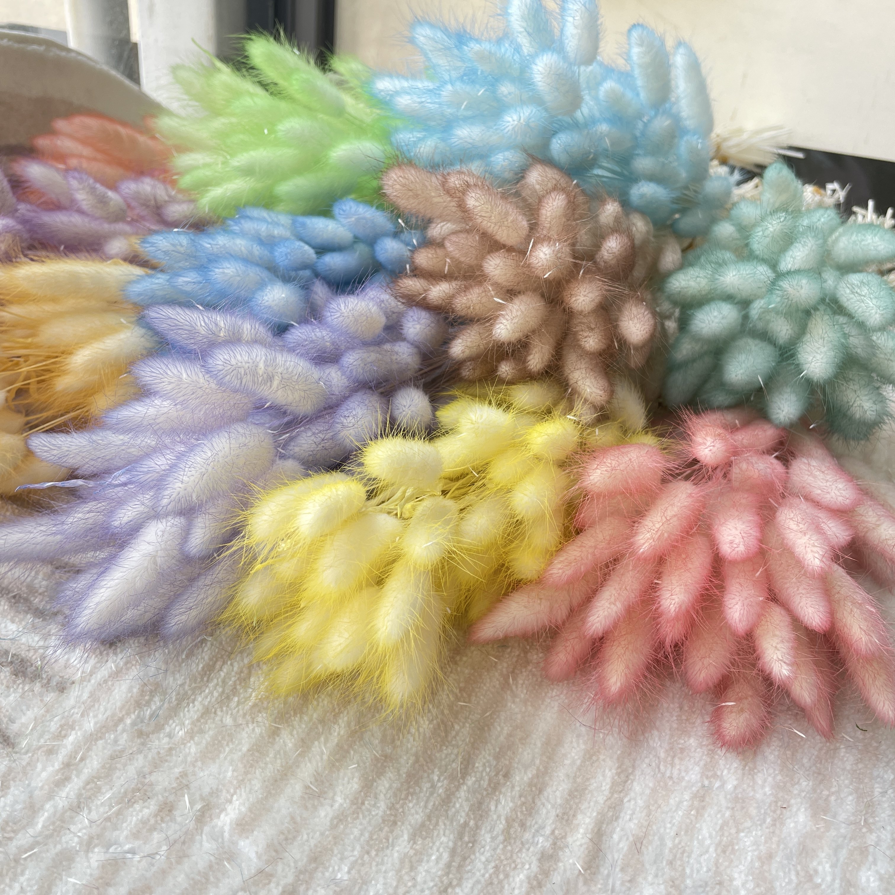 Wholesale Preserved Rabbit Tail Dry Flower Dried Bunny Tails Lagurus Ovatus For Wedding Decoration