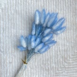 Blue2