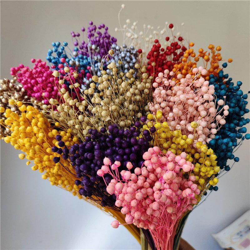 18-Color Rich Beans Dried Press Flower Preserved Bouquet And dried flower bouquet For Mother'S Day