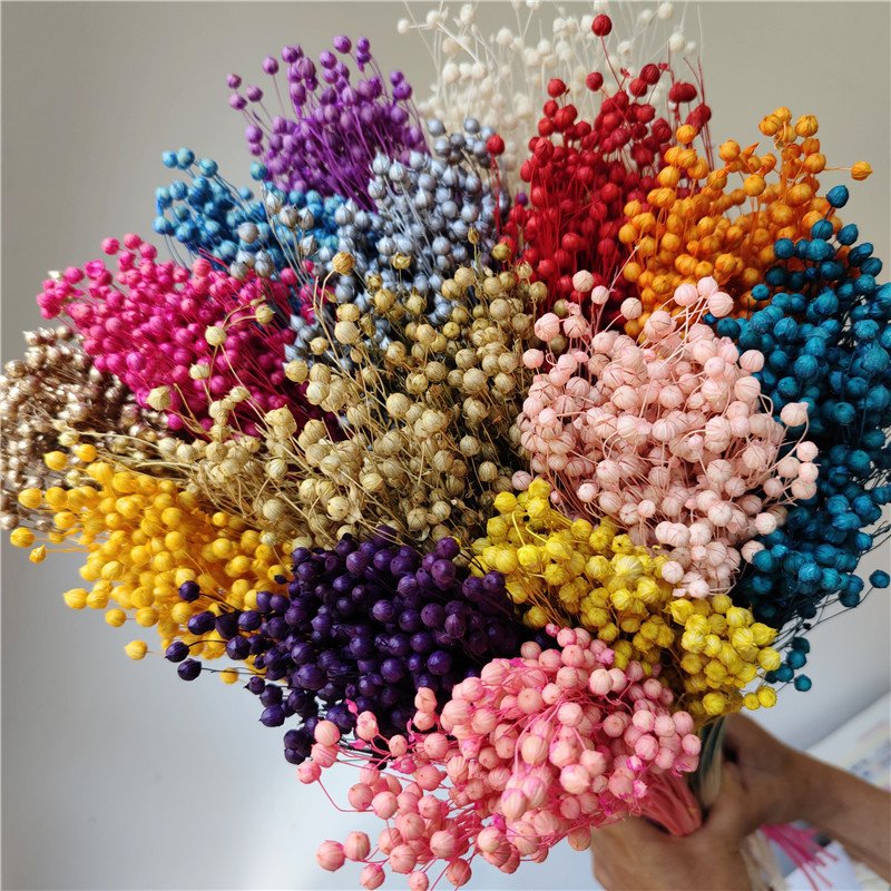 18-Color Rich Beans Dried Press Flower Preserved Bouquet And dried flower bouquet For Mother'S Day