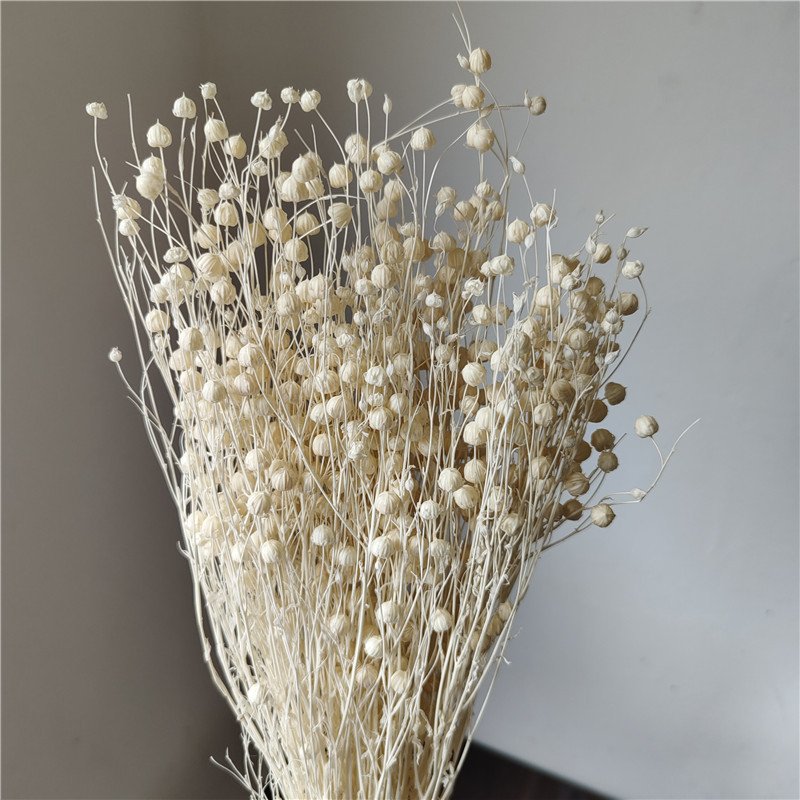 18-Color Rich Beans Dried Press Flower Preserved Bouquet And dried flower bouquet For Mother'S Day
