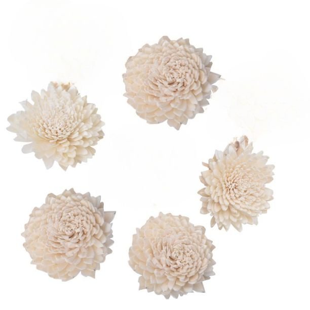 Good Quality Handcrafted Sola Zinnia Dried Flowers Wholesale- Perfect for Home & Wedding Decor & Floral Arrangements