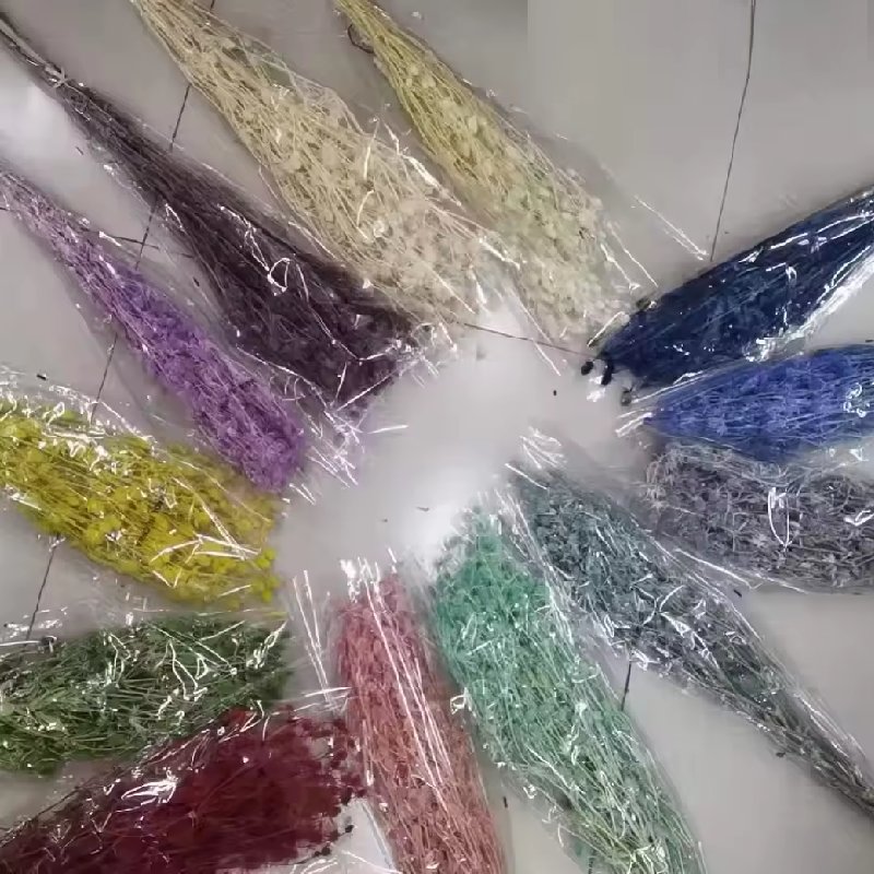 Factory wholesale Dried Flowers Preserved Flower Eryngium Fruit Lover Fruit for Home Decoration