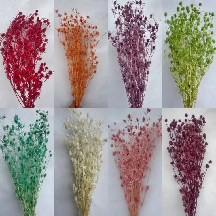 Factory wholesale Dried Flowers Preserved Flower Eryngium Fruit Lover Fruit for Home Decoration