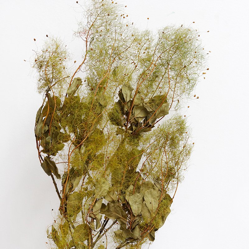 GH-098 wholesale natural boho dried flower bouquet material decorating preserved misty lover for decoration