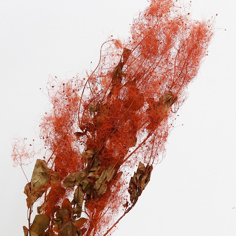 GH-098 wholesale natural boho dried flower bouquet material decorating preserved misty lover for decoration