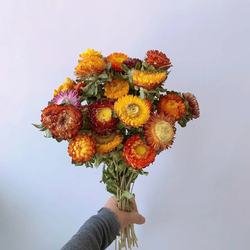 colorful
