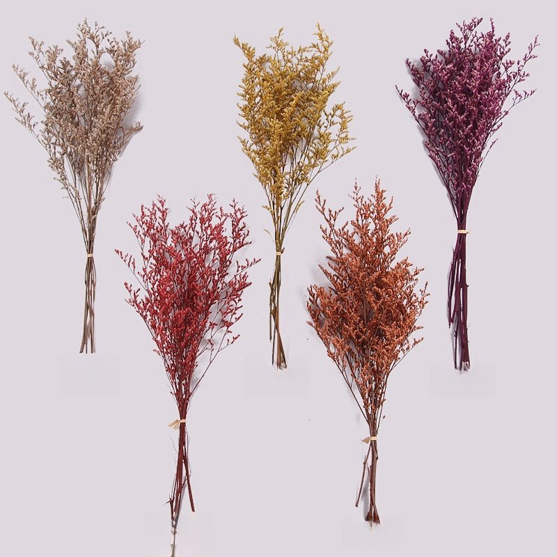 Pampas Grass Wholesale Bouquet Natural Touch Eucalyptus Flowers Home Decor New Year Bag Christmas Easter Decoration Real Touch
