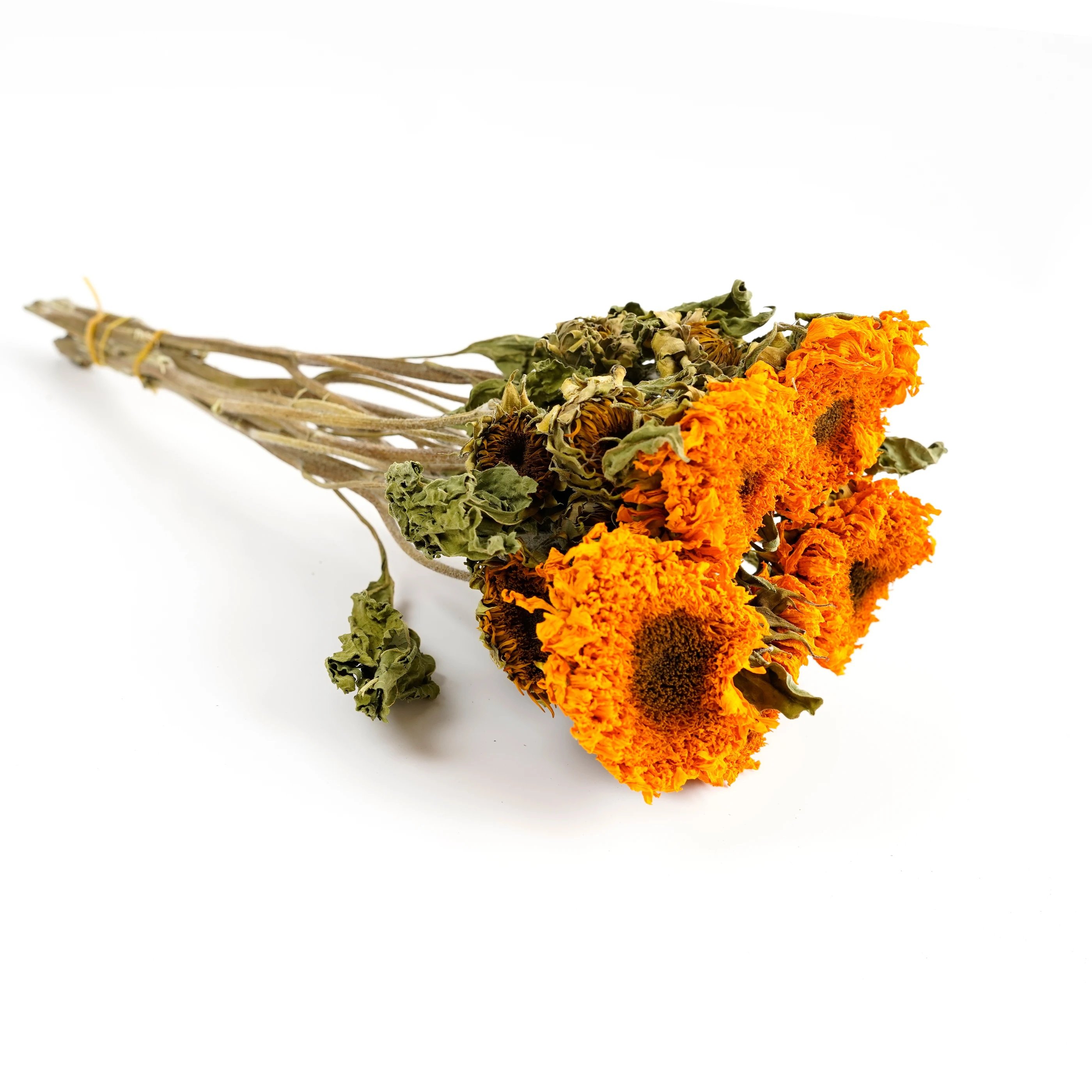 Manufacturer Natural sunflowers dried sunflower Real Dried Sunflower Plants For Home Party Wedding Decoration