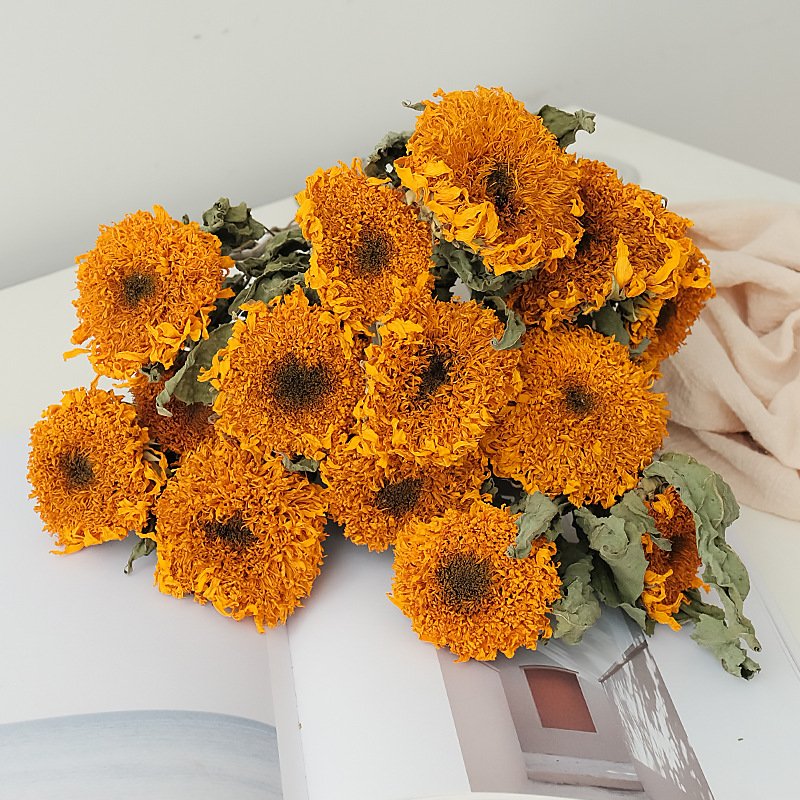 Manufacturer Natural sunflowers dried sunflower Real Dried Sunflower Plants For Home Party Wedding Decoration