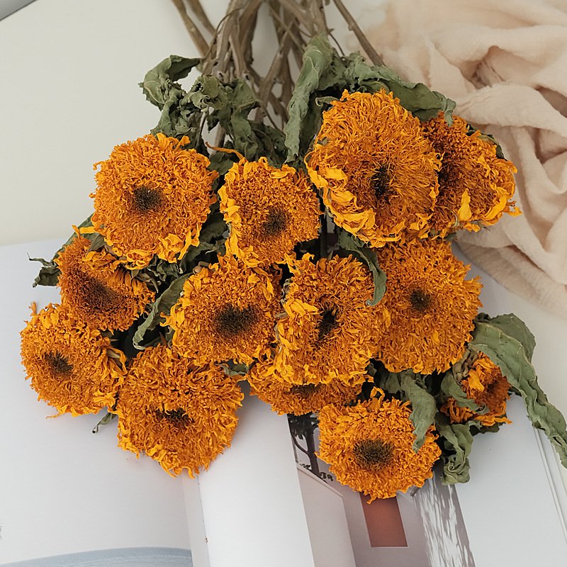 Manufacturer Natural sunflowers dried sunflower Real Dried Sunflower Plants For Home Party Wedding Decoration