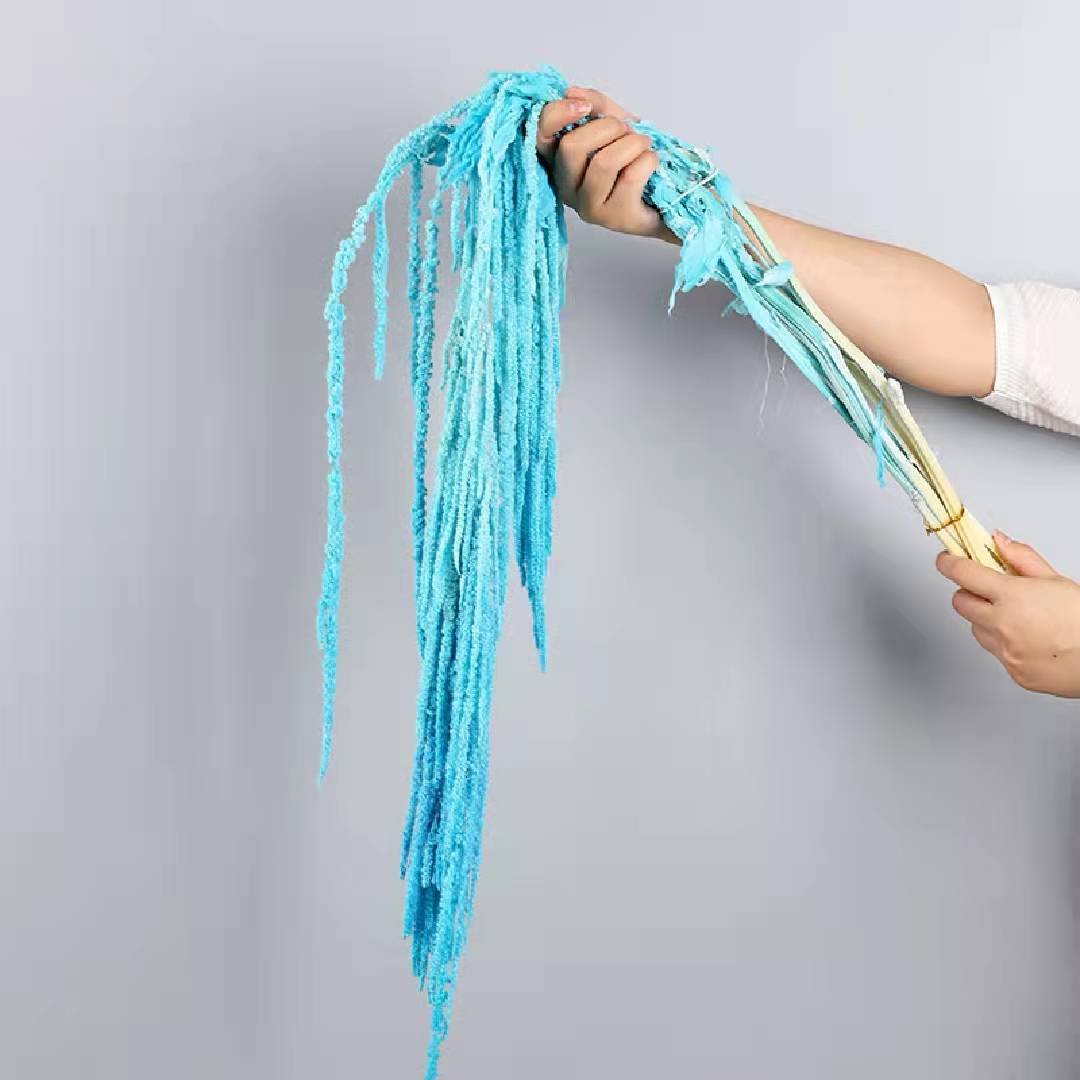 Factory Supply Preserved Natural Eternal Plants Preserved Amaranthus For Weeding Decoration