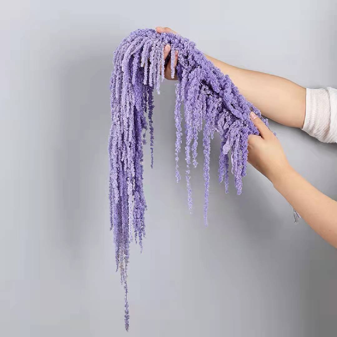 Factory Supply Preserved Natural Eternal Plants Preserved Amaranthus For Weeding Decoration
