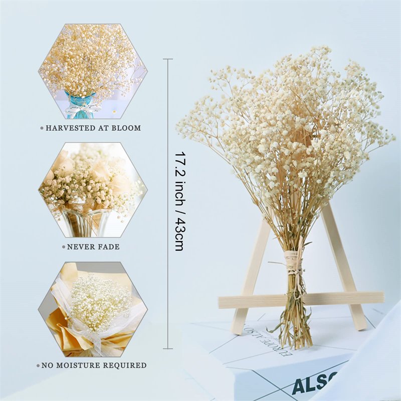 A Grade Beautiful Design 17.2 inch Ivory White Natural Gypsophila Dried Flowers Branches 2500+ Babys Breath Bouquet Flowers
