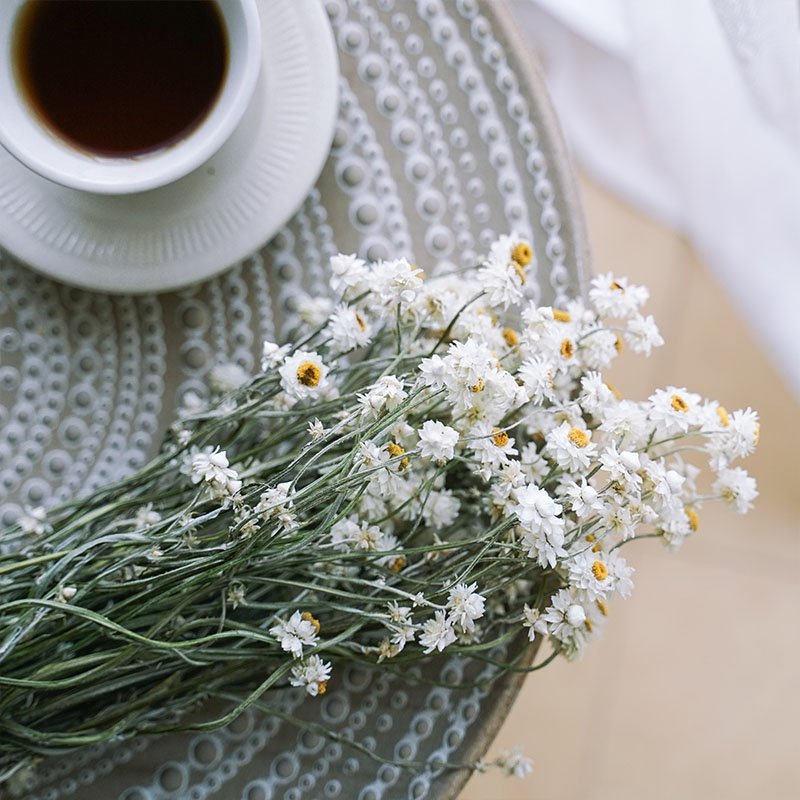 SumFlora Instagram popular dried flower daisy dried chrysanthemum for home decoration