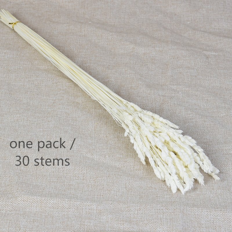 Dried Natural Elfin Grass, Cute Small Flower, Floral Materials White Decorative Grass