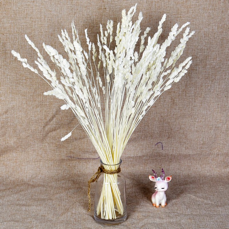 Dried Natural Elfin Grass, Cute Small Flower, Floral Materials White Decorative Grass