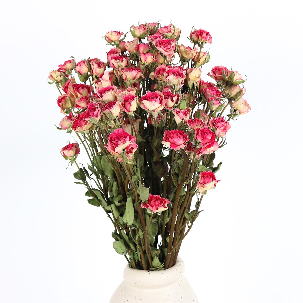 Factory Supply Good Quality Dried Rose Dried Flower for Flower Bouquet Chinese New Year Preserved Rose Natural Flower Accept T/T