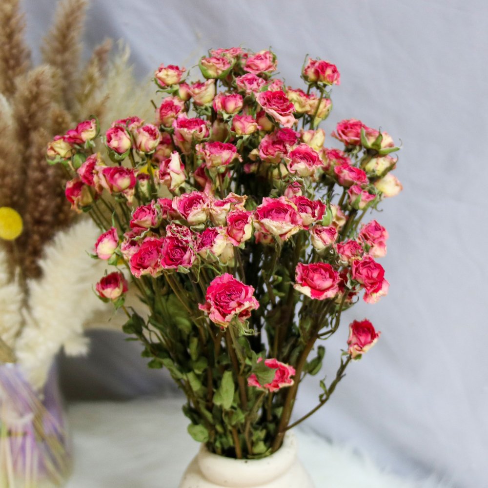 Factory Supply Good Quality Dried Rose Dried Flower for Flower Bouquet Chinese New Year Preserved Rose Natural Flower Accept T/T