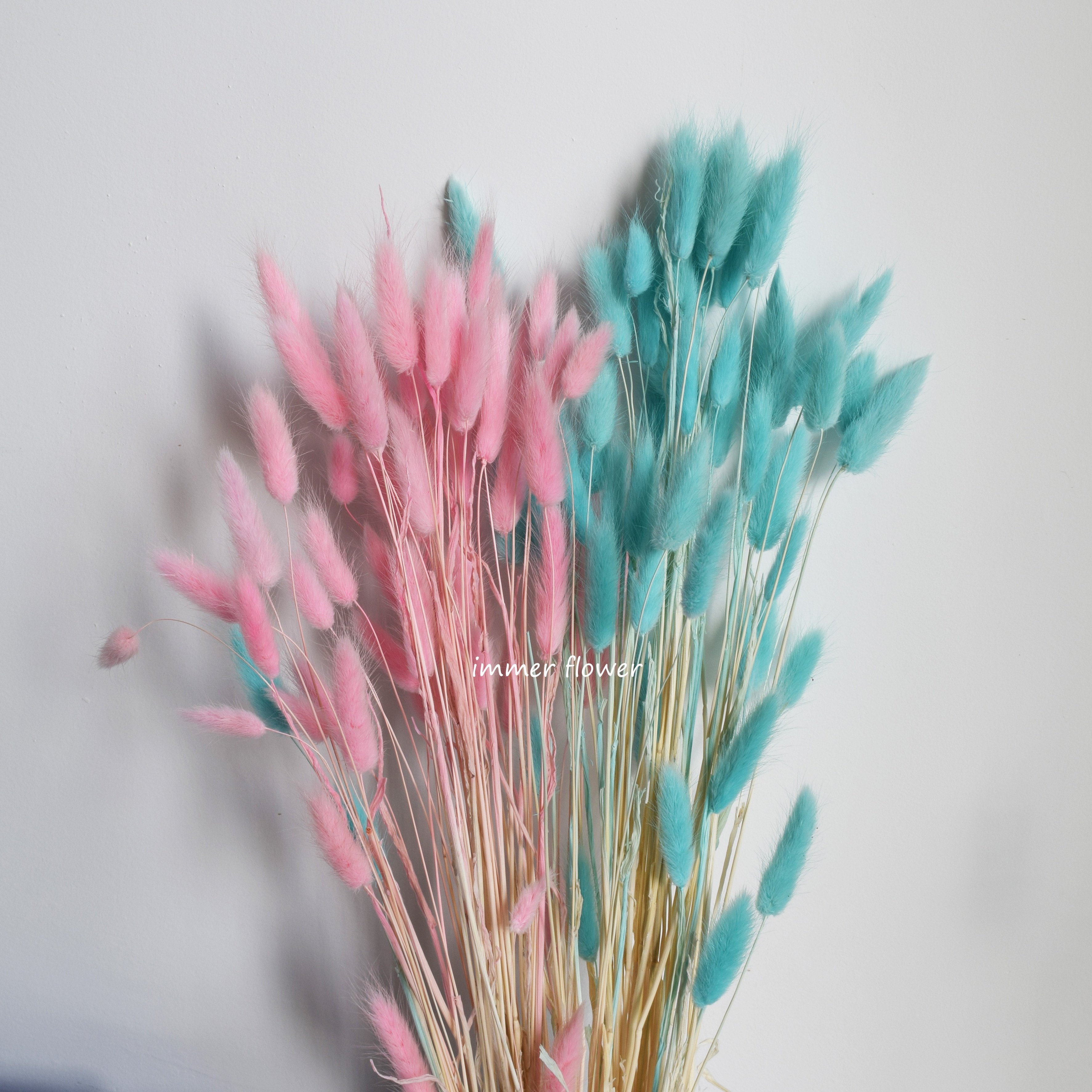 Dried flower bouquet colorful lagurus rabbit tail grass flower as bridal bouquet