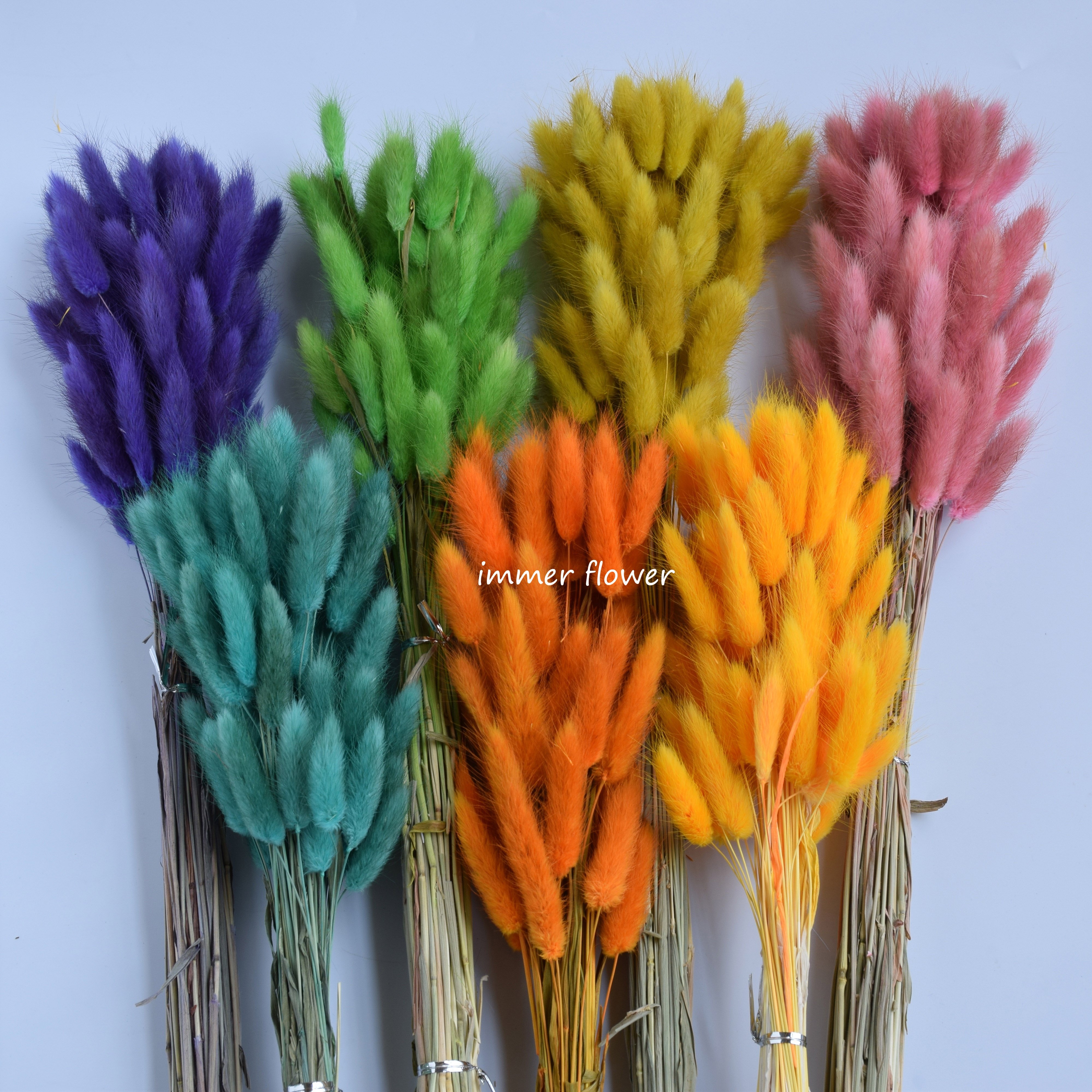 Dried flower bouquet colorful lagurus rabbit tail grass flower as bridal bouquet