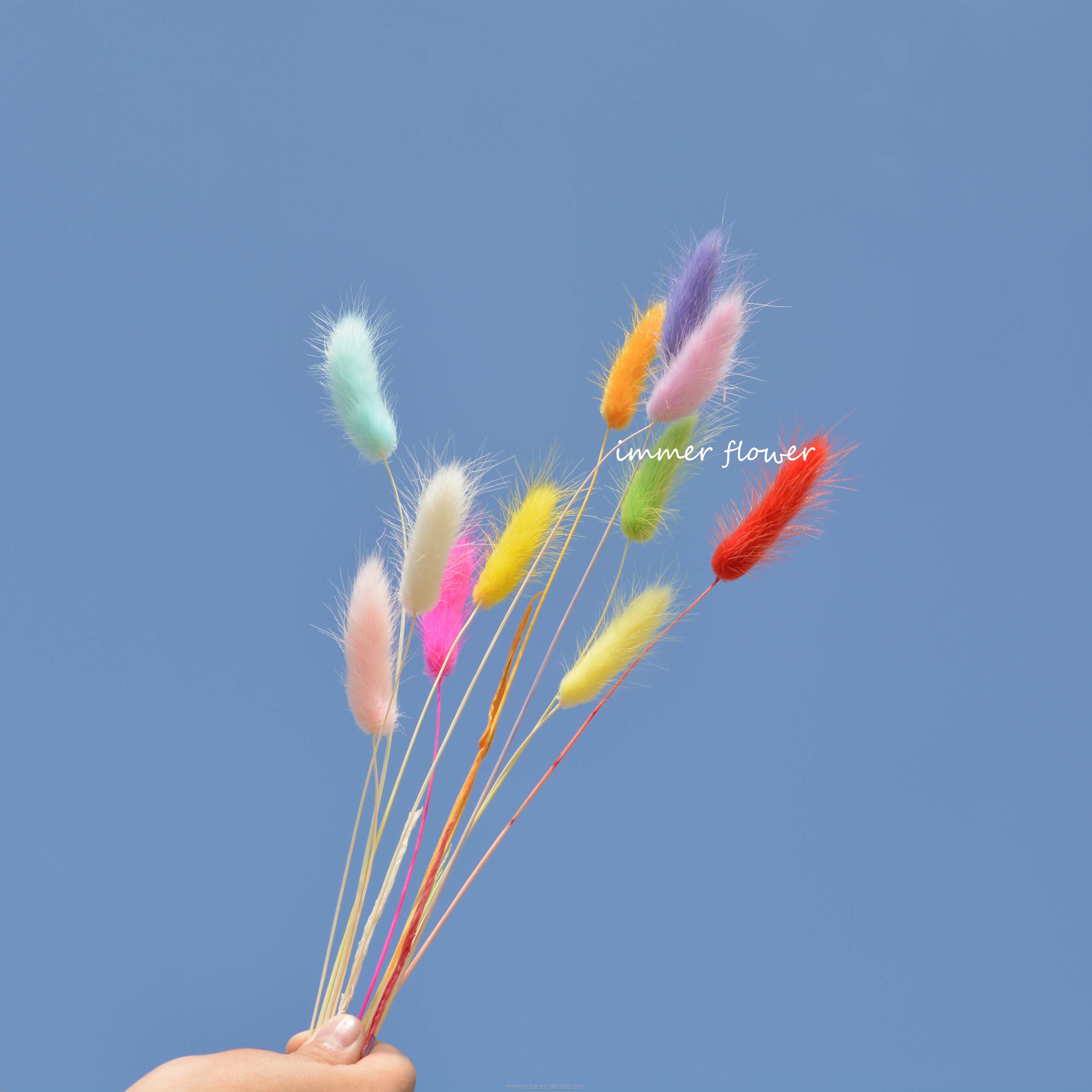 Dried flower bouquet colorful lagurus rabbit tail grass flower as bridal bouquet