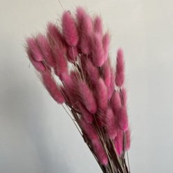 Retro-pink
