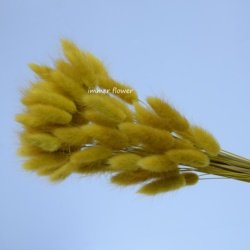 Retro-yellow