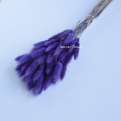 Retro-purple