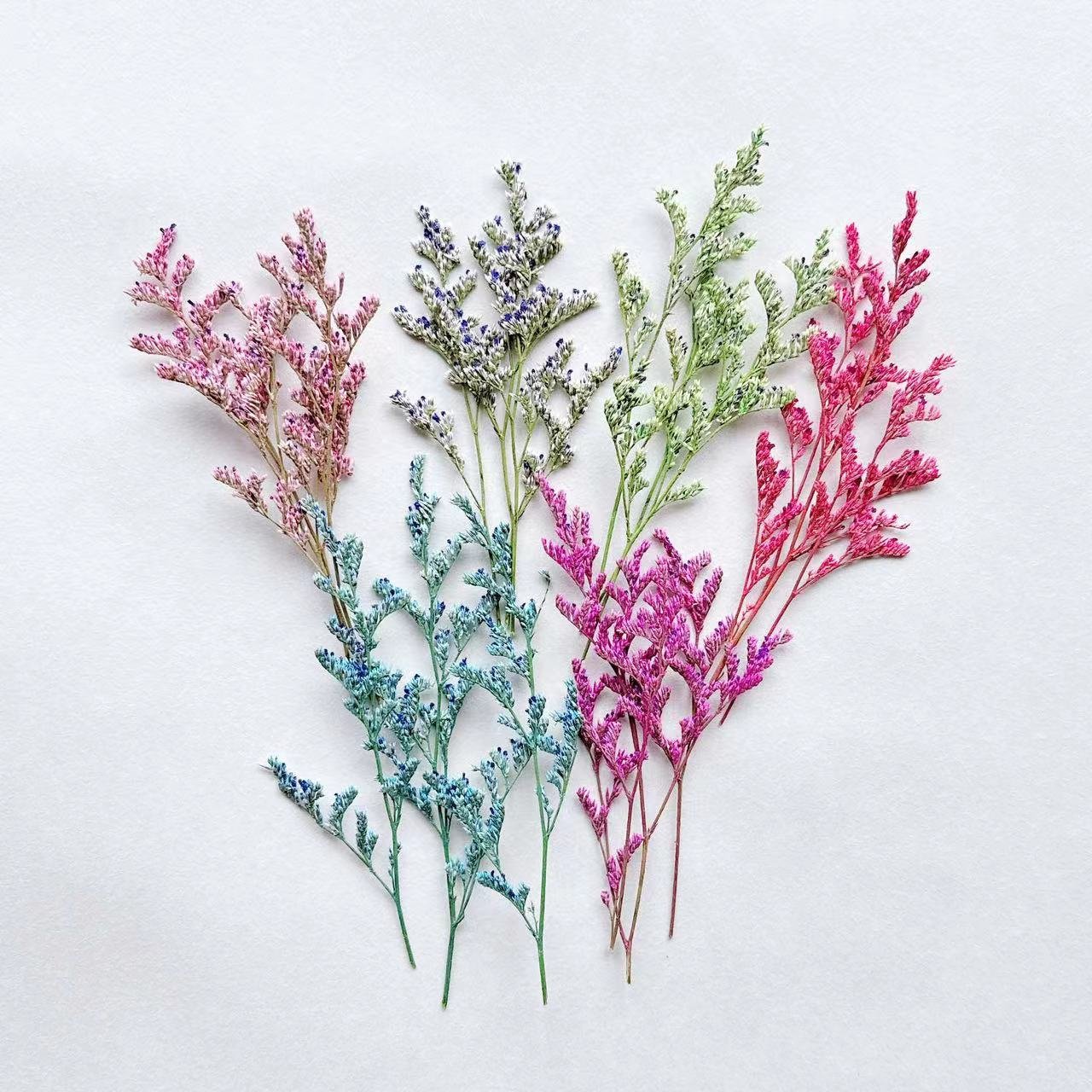 New product ideas 2024 Yunnan Origin wholesale factory direct preserved misty valentine's grass for home decoration