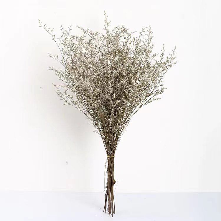 New product ideas 2024 Yunnan Origin wholesale factory direct preserved misty valentine's grass for home decoration