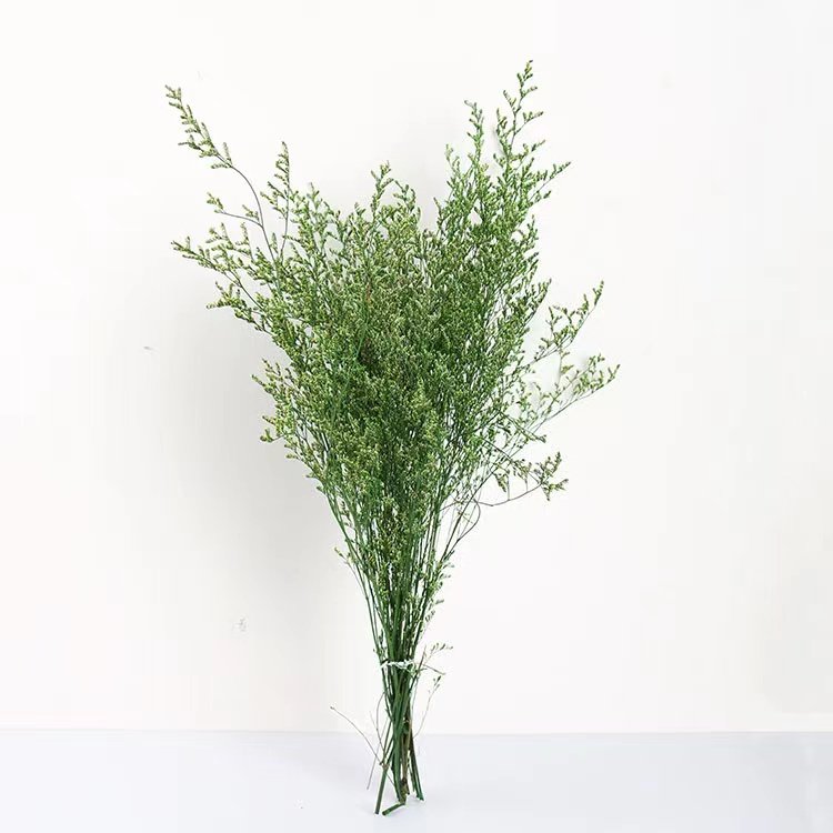 New product ideas 2024 Yunnan Origin wholesale factory direct preserved misty valentine's grass for home decoration