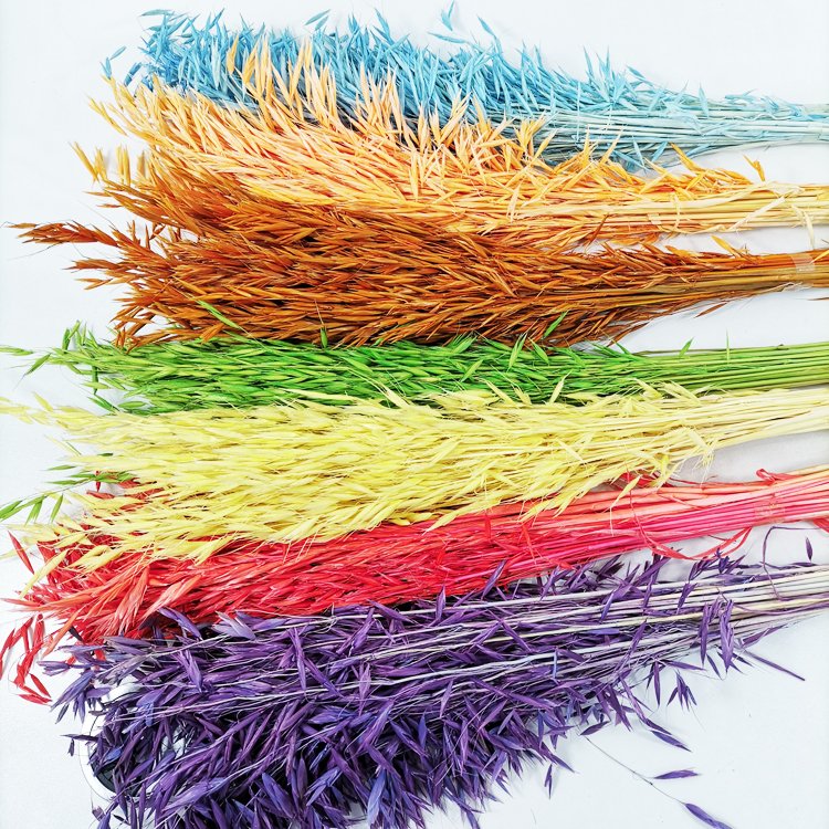 Sumflora Wholesale Prices High Quality Kumming forever artificial red flower with stem dried flowers wheat