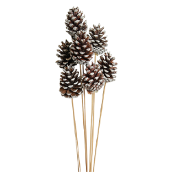 Pinecones mini brown christmas natural pinecones with different size and color natural pinecone