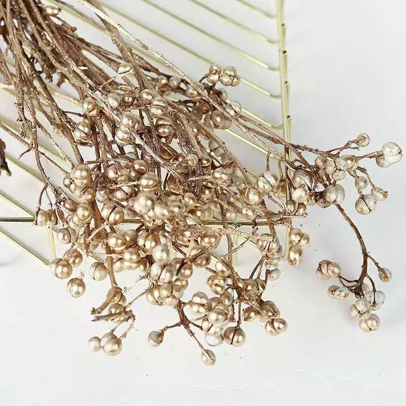 Factory Direct Sale Dry Flowers Decorations Small Ginkgo Mushroom Natural Dried Flowers And Plants Home Decorators
