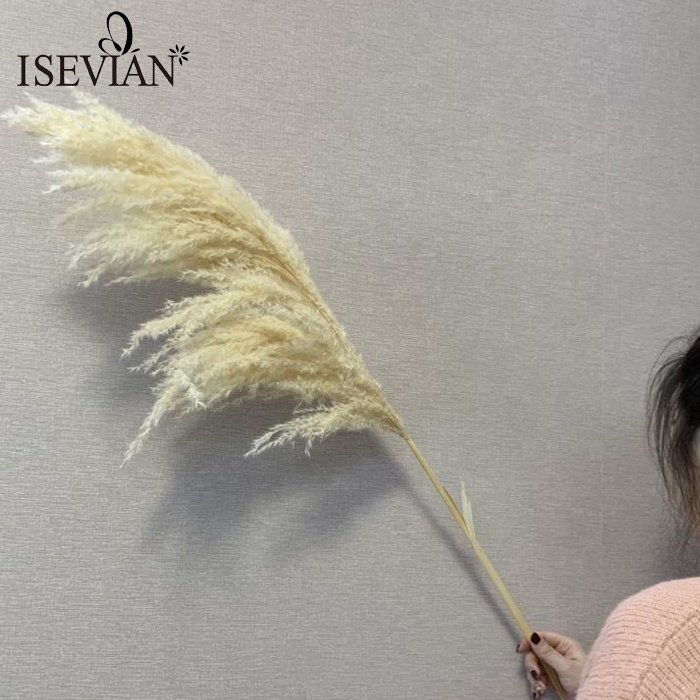 ISEVIAN Wedding Arch Dried Pampas Flower Wedding Decor Flower Centerpiece Feather Grass Dried Flowers